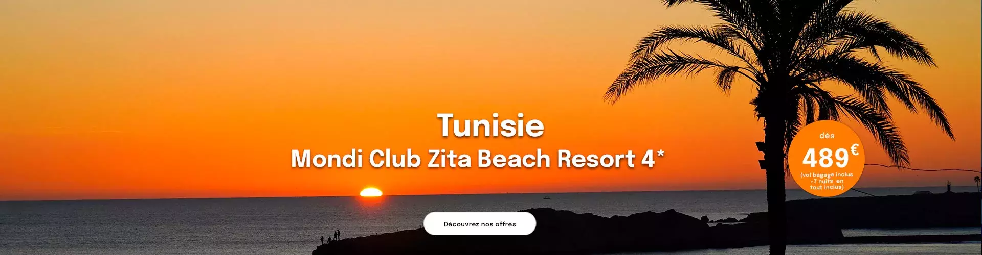 Un coucher de soleil sur la mer en Tunisie avec un palmier