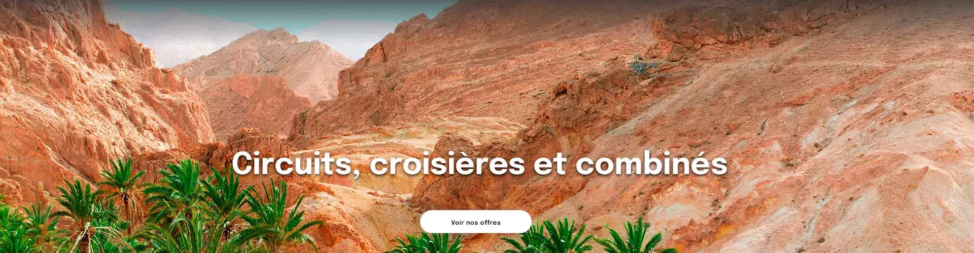 des montagnes rocheuses dans le sud tunisien avec une palmeraie en premier plan