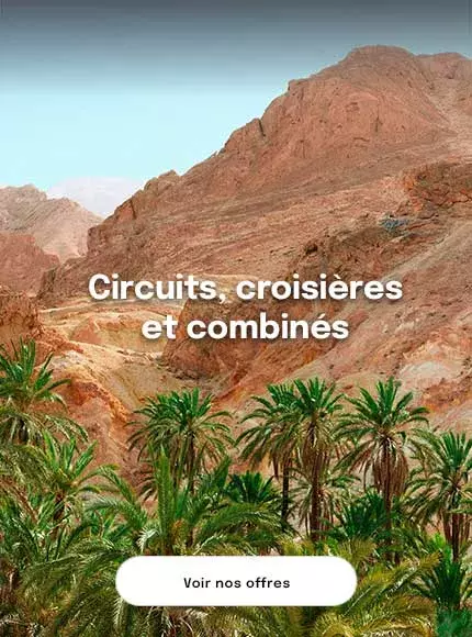 des montagnes rocheuses dans le sud tunisien avec une palmeraie en premier plan