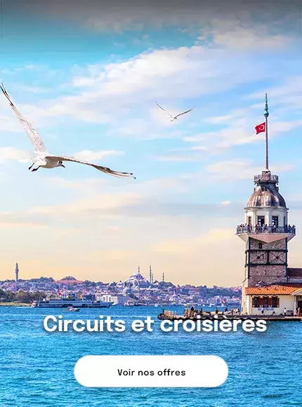 la tour de Léandre sur le Bosphore à Istanbul avec des mosquées au loin pour proposer des circuits et croisières