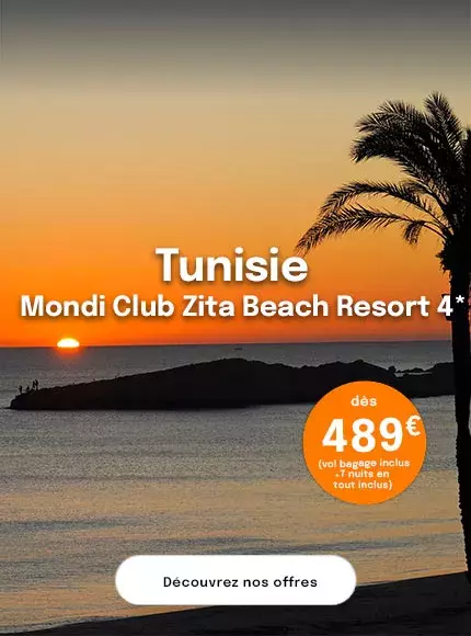 Un coucher de soleil sur la mer en Tunisie avec un palmier