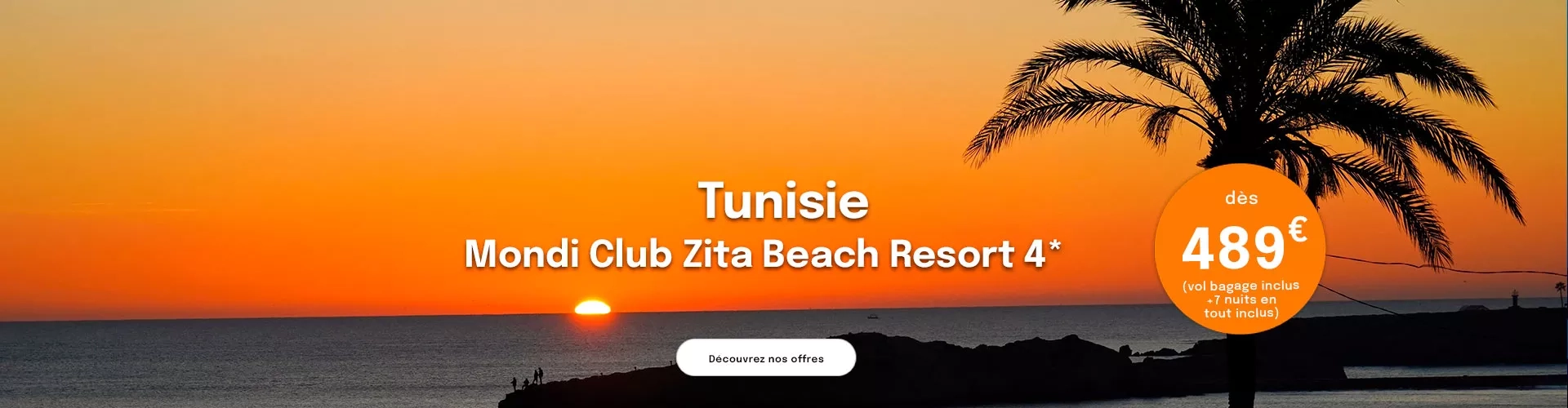 Un coucher de soleil sur la mer en Tunisie avec un palmier