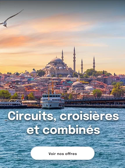 vue sur le Bosphore et les mosquées à Istanbul