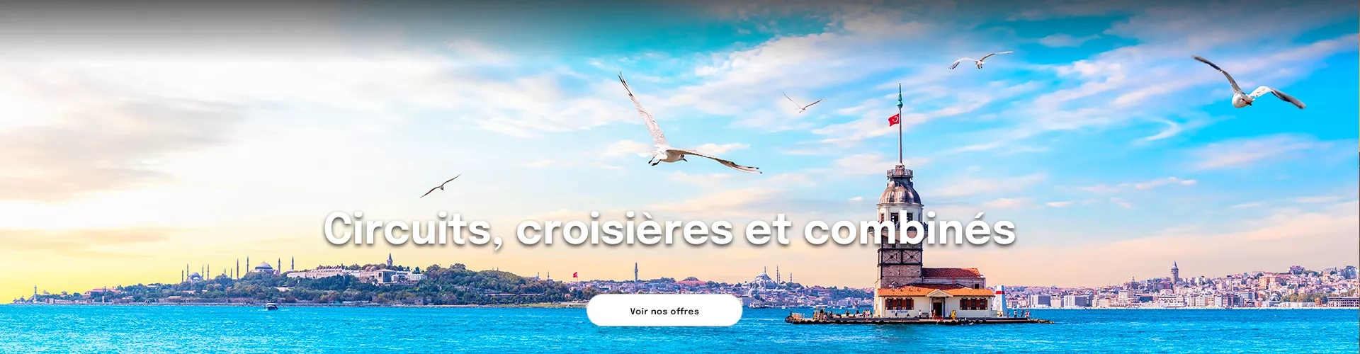 la tour de Léandre sur le Bosphore à Istanbul avec des mosquées au loin pour proposer des circuits et croisières