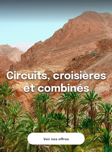 Des montagnes rocheuses et des palmiers en Tunisie