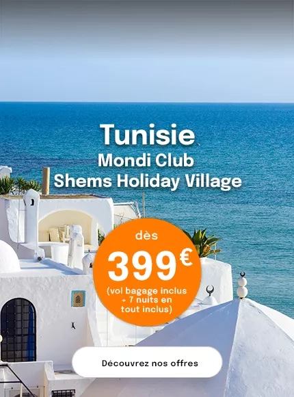 vue sur la mer et des toits de maisons blanches en Tunisie