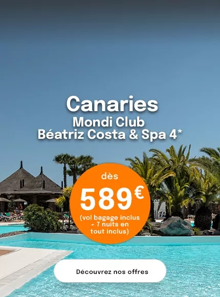 une piscine avec des palmiers aux Canaries 