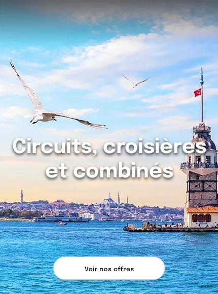 Vue sur le Bosphore avec la tour de léandre et une mouette en plein vol