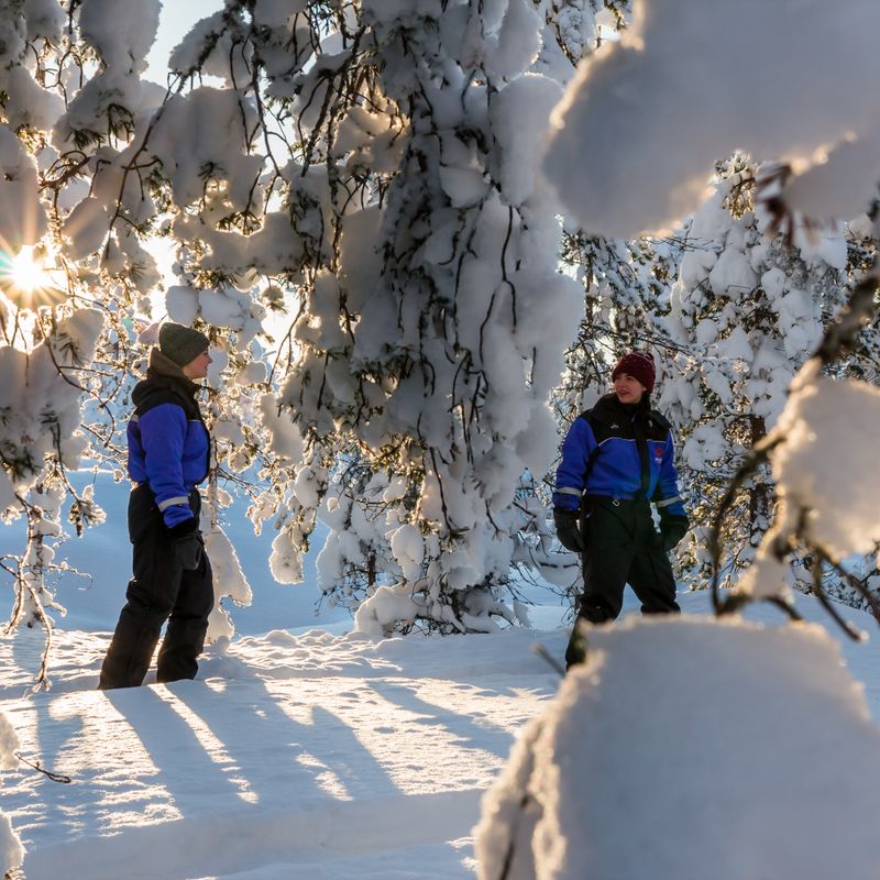 Finlande - Laponie - Yllasjarvi - Séjour avec Activités Grand Nord à l'Hôtel Yllas Rinne 3* sup