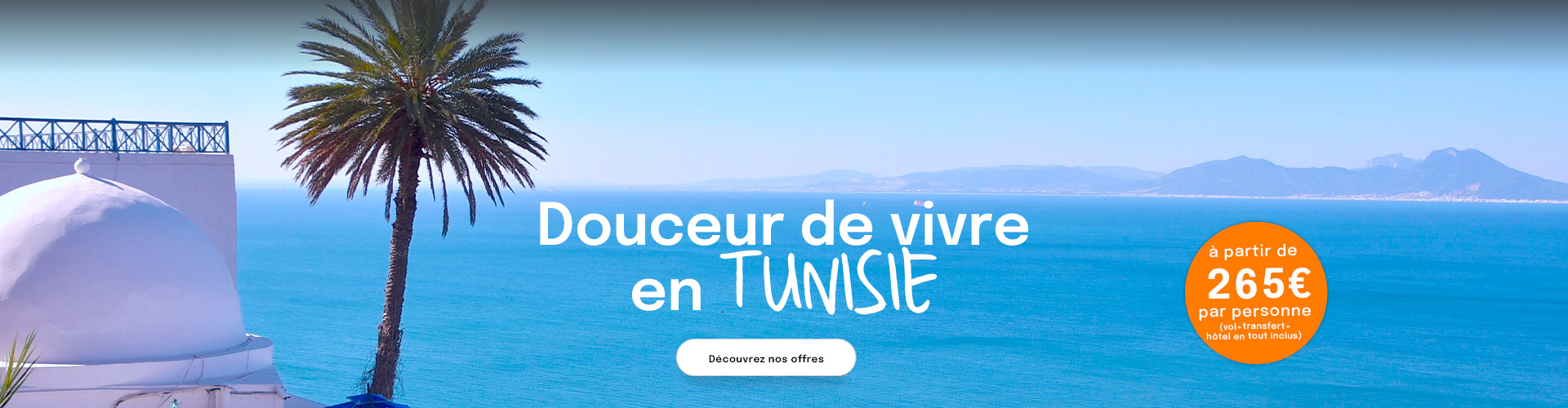Palmier devant mer bleue