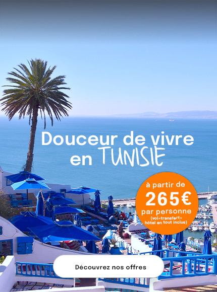 Palmier devant mer bleue