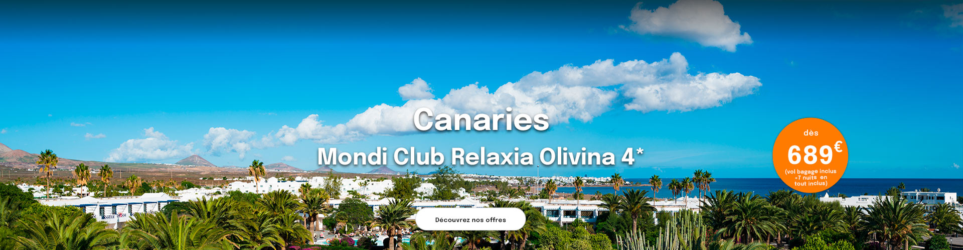 vue sur palmiers et mer