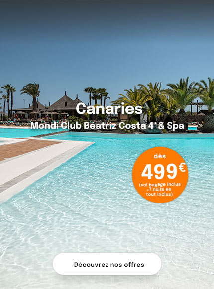 piscine avec palmiers