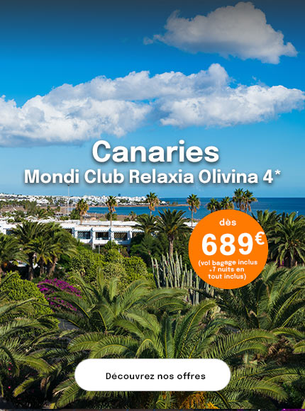 vue sur palmiers et mer