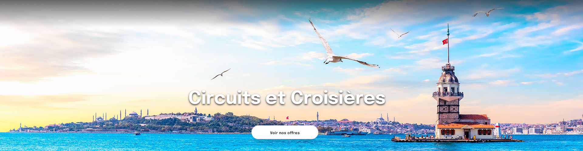 la tour de Léandre sur le Bosphore à Istanbul, des mouettes dans le ciel et la ville et des mosquées au loin