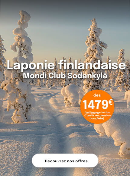 un paysage couvert de neige avec des sapins enneigés également