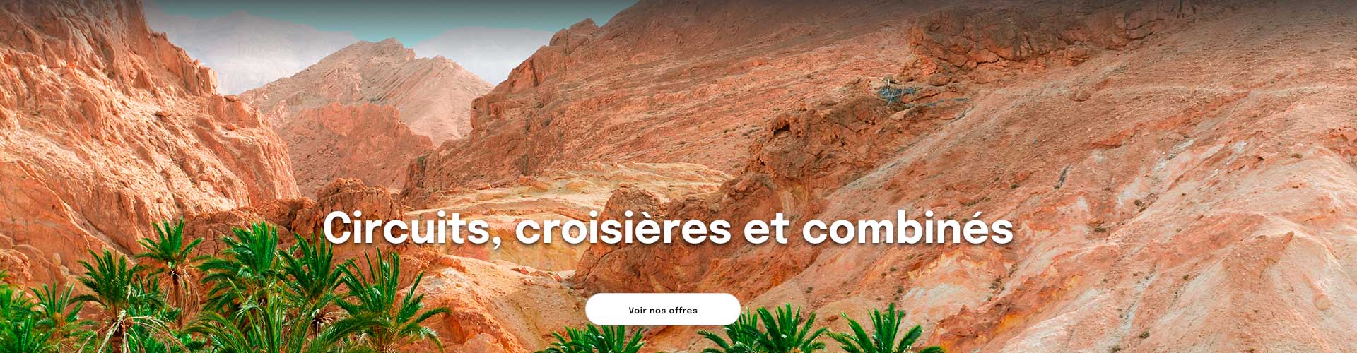 des montagnes rocheuses dans le sud tunisien avec une palmeraie en premier plan