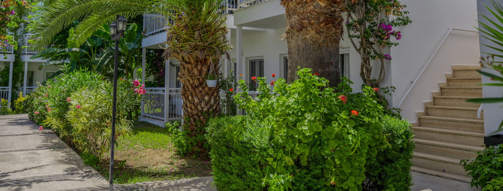 Hôtel Petunya Beach 4* - 3